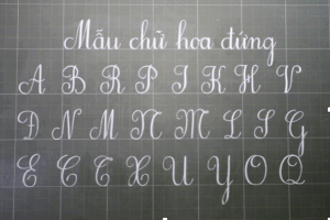 Mãn nhãn" với những mẫu chữ hoa đẹp và ấn tượng