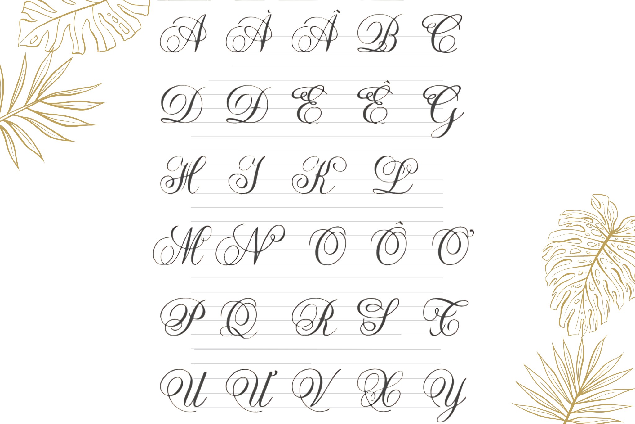 7+ Bảng chữ in hoa tiếng Việt đẹp, sáng tạo, thu hút nhất